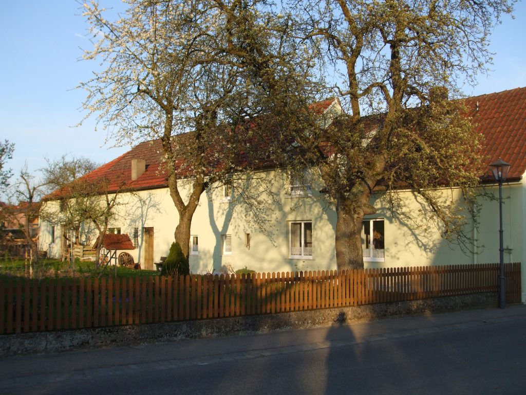 Chronik des Gartens - Alter Baumbestand