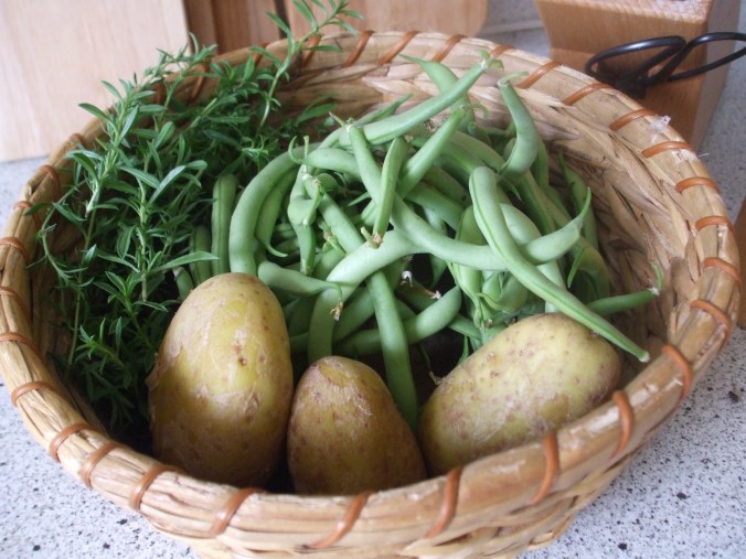 Buschbohnen, Kartoffeln und Bohnenkraut