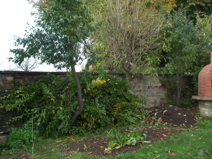 Buchenlaub für das Hochbeet