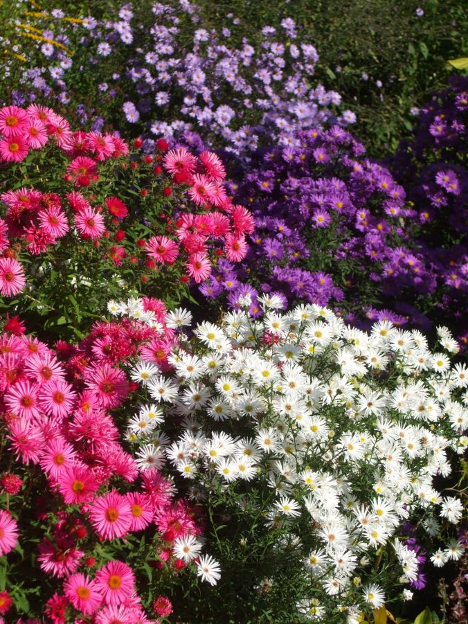 Foerstergarten Bornim