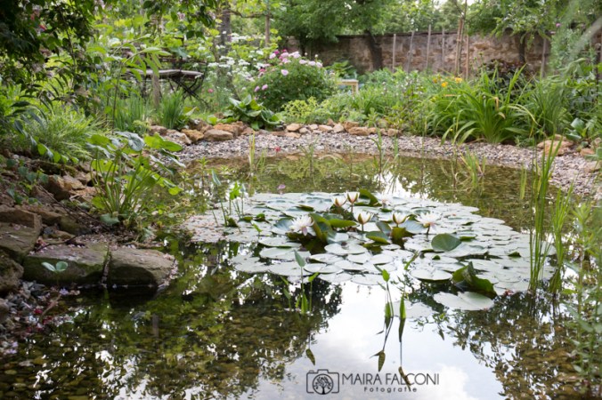 03_Garten_Pecoraro-Schneider_2016_296-2